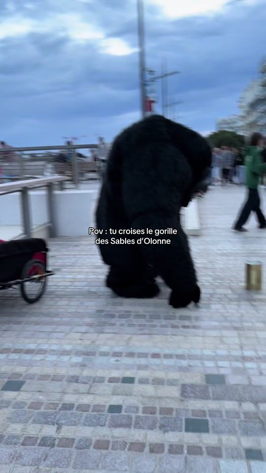 TikTok video thumbnail by leswouches