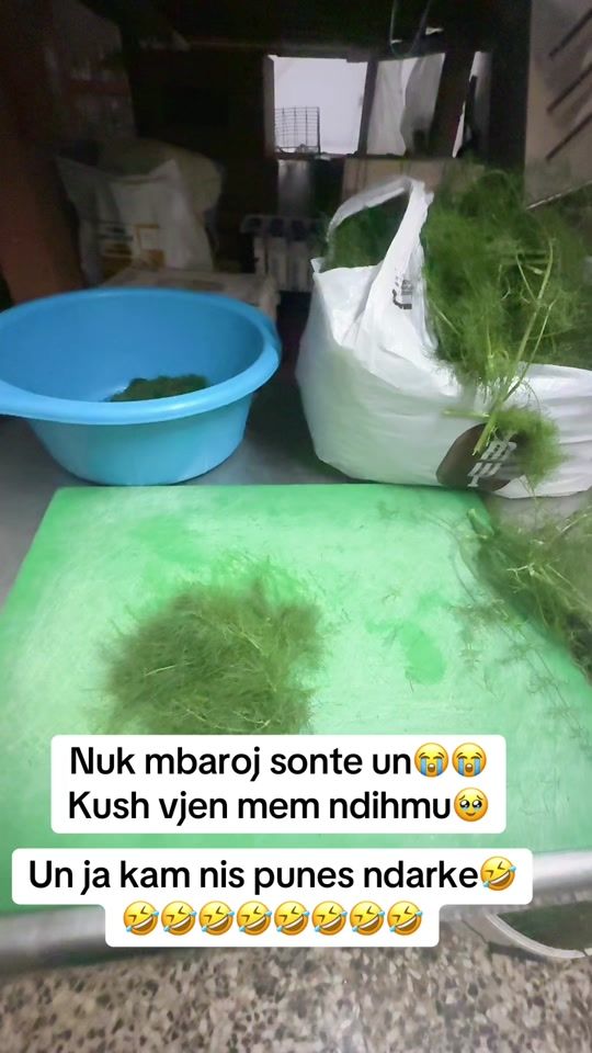 TikTok video thumbnail by bablokjaadela_1