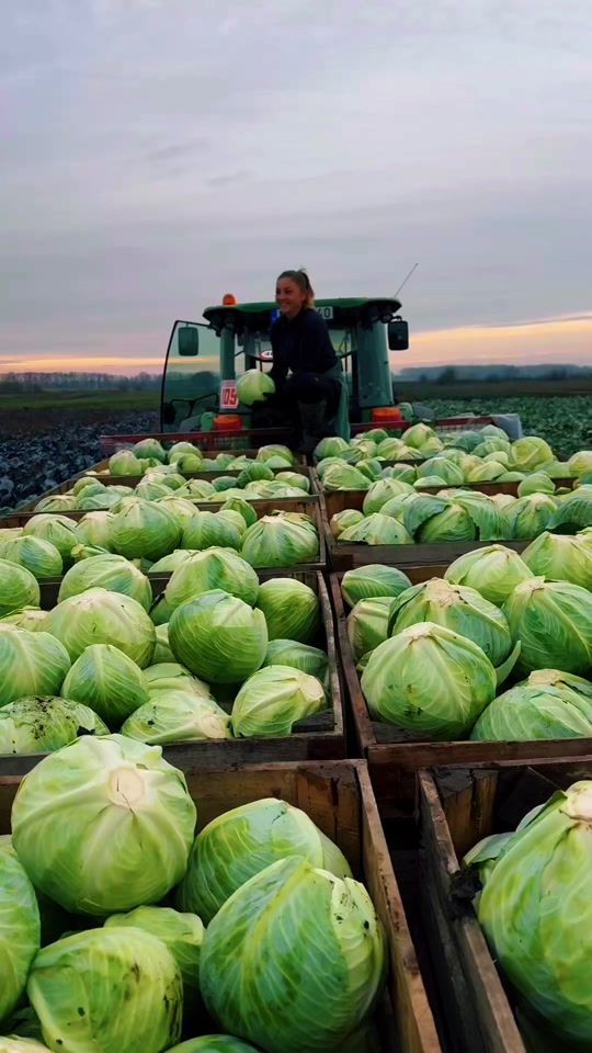 TikTok video thumbnail by viktoriasalamon