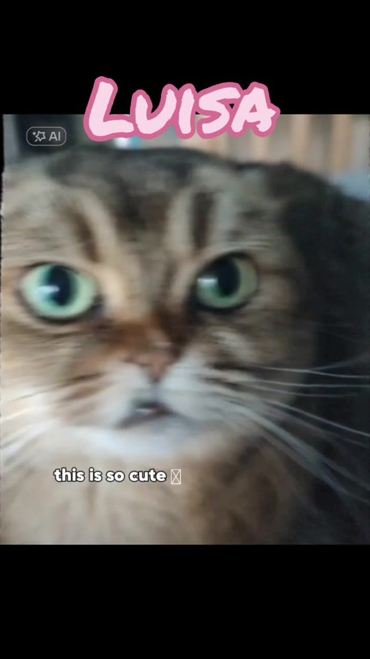 TikTok video thumbnail by valera.mrb