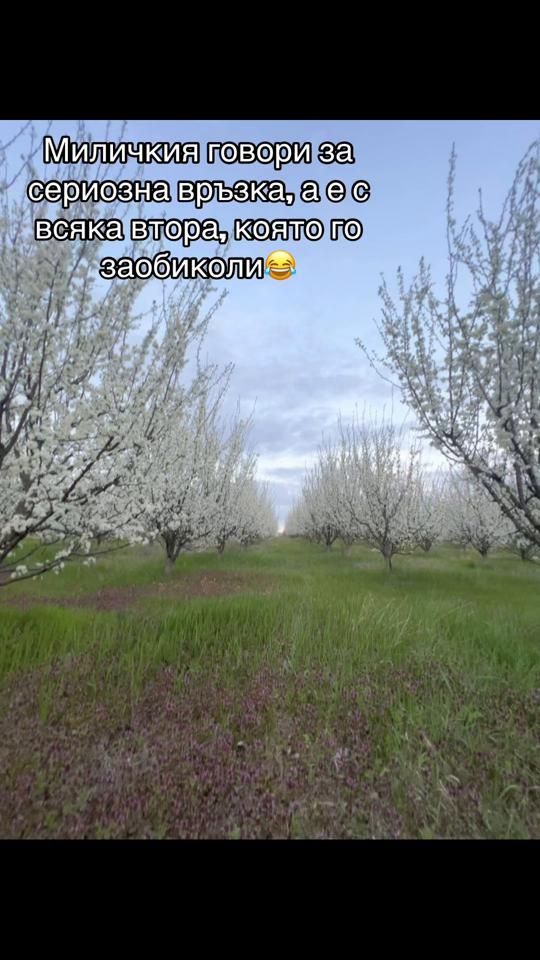 TikTok video thumbnail by prosto_selito