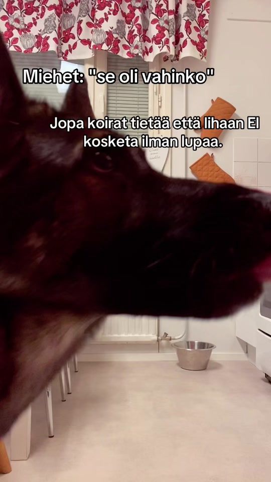 TikTok video thumbnail by jenniqvick