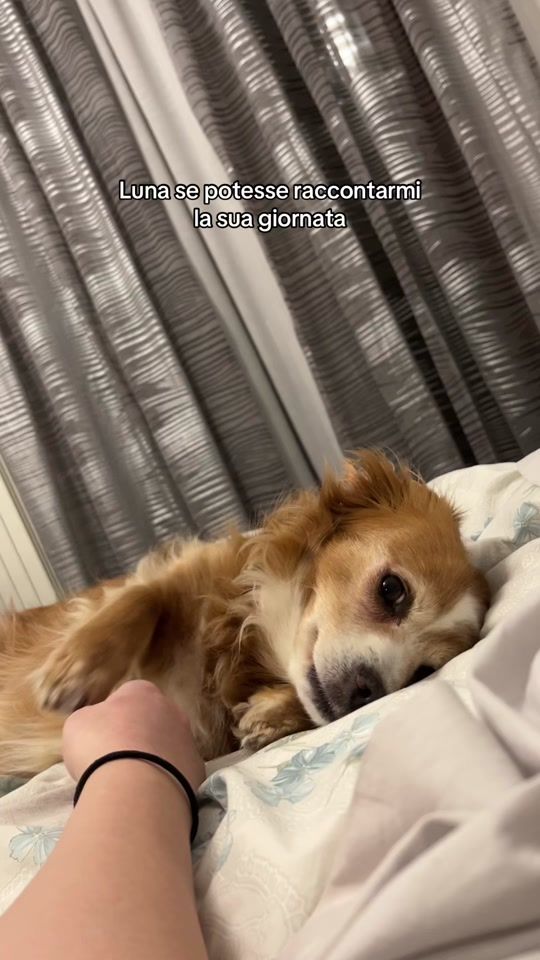 TikTok video thumbnail by luna_la_meticcia