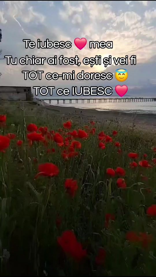 TikTok video thumbnail by nikavlad19