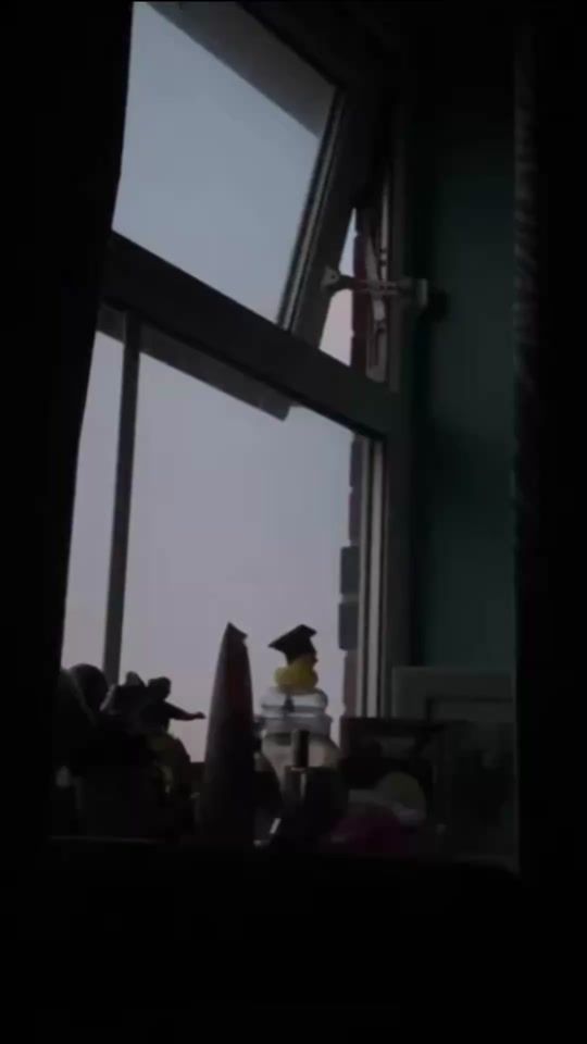 TikTok video thumbnail by xmiss.drainedx