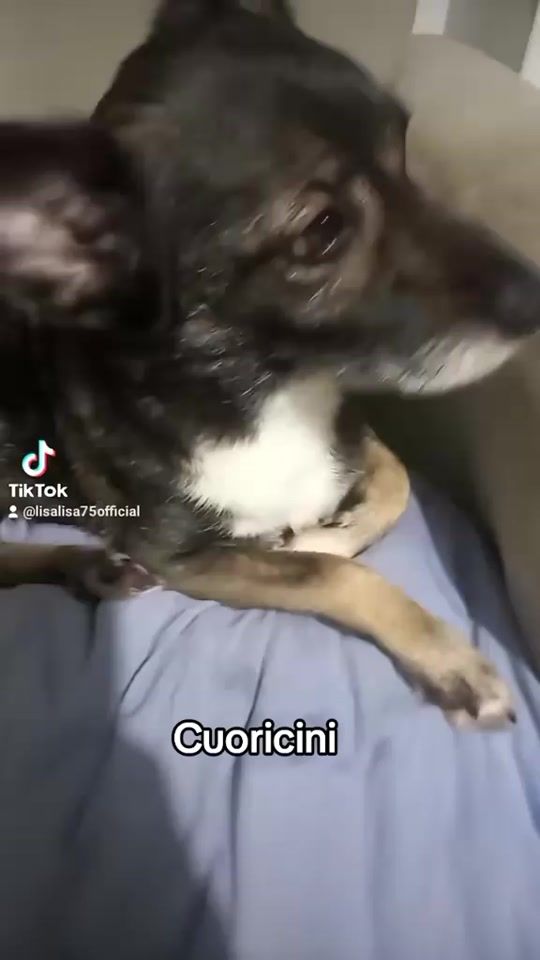 TikTok video thumbnail by chiccoeisuoifratelli