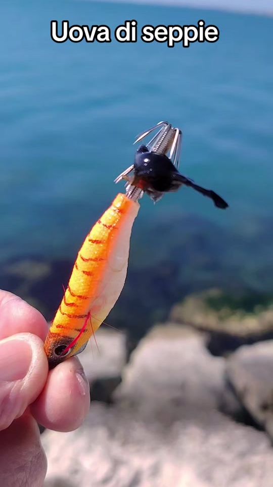 TikTok video thumbnail by mauryargentino