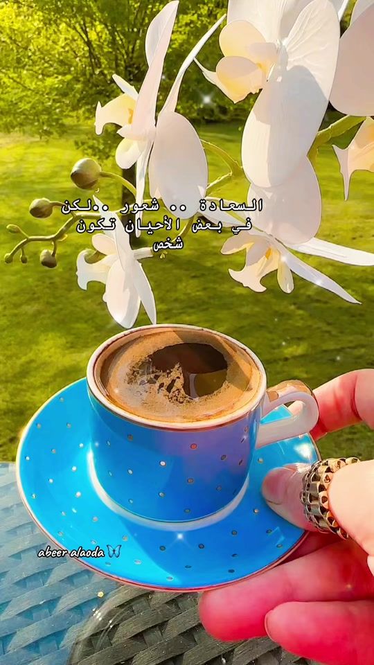 TikTok video thumbnail by abeer.alaoda