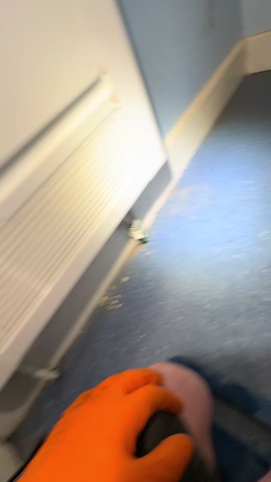 TikTok video thumbnail by theleakyfinder