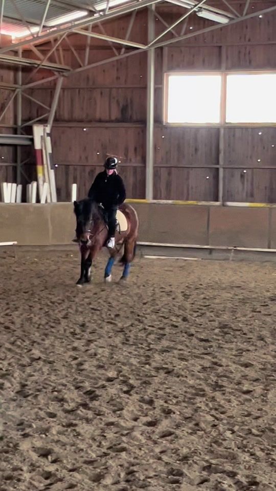 TikTok video thumbnail by jakke.equestrian