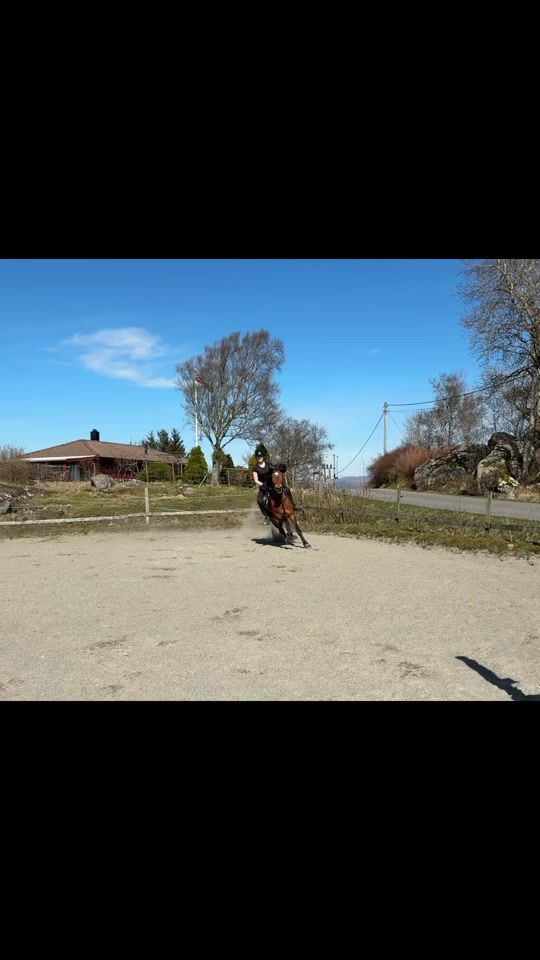 TikTok video thumbnail by aurora.eq