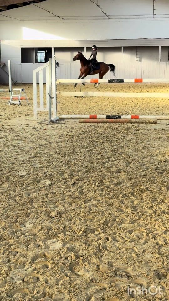 TikTok video thumbnail by equestrian.sophe
