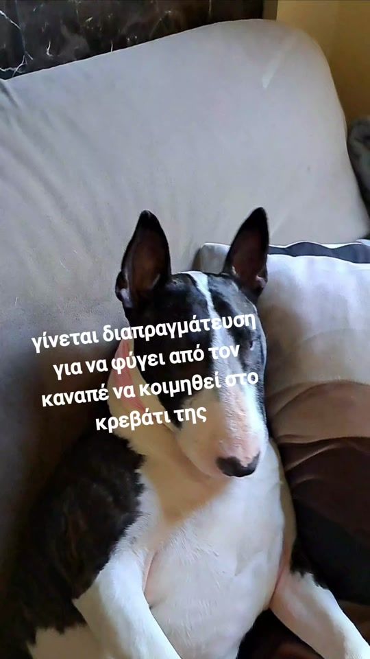 TikTok video thumbnail by useyio1234