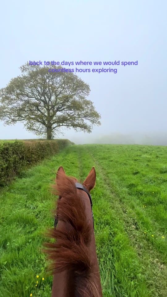 TikTok video thumbnail by sophie...eq.x