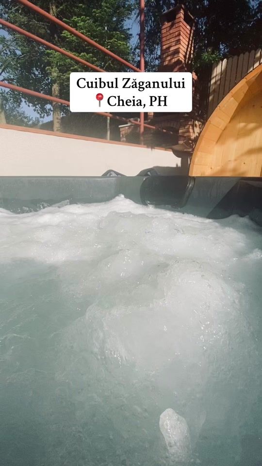 TikTok video thumbnail by cuibulzaganului