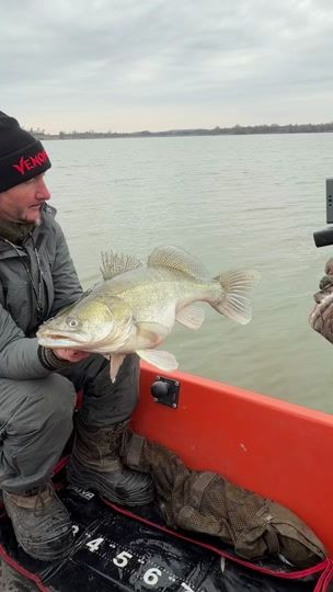 TikTok video thumbnail by maki_predator.fishing