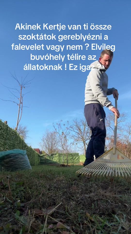 TikTok video thumbnail by kovacs0002