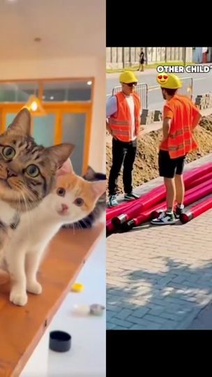 TikTok video thumbnail by superheldenpapa81