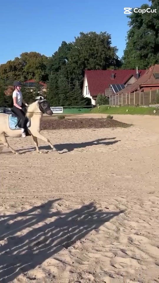 TikTok video thumbnail by elila284