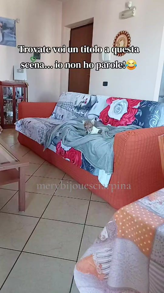 TikTok video thumbnail by merybijouesciarpina