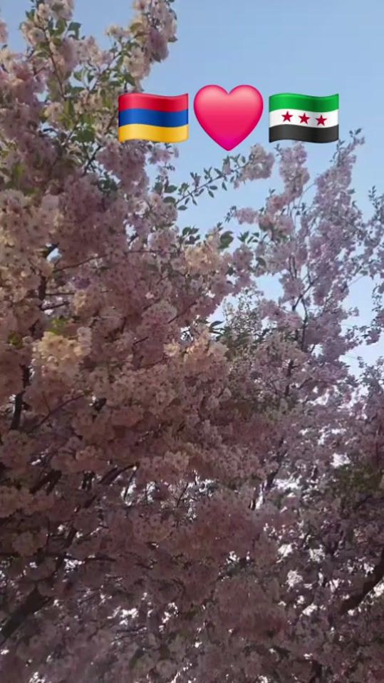 TikTok video thumbnail by husseinalmhamad0
