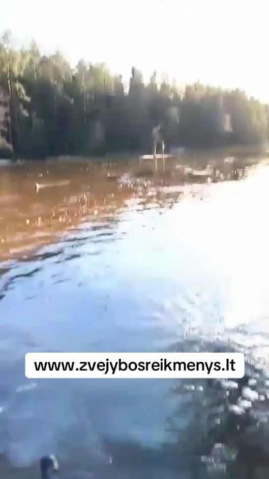 TikTok video thumbnail by zvejybosreikmenys.lt