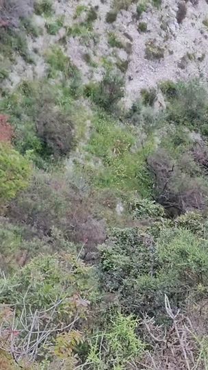 TikTok video thumbnail by andreaspetrou615