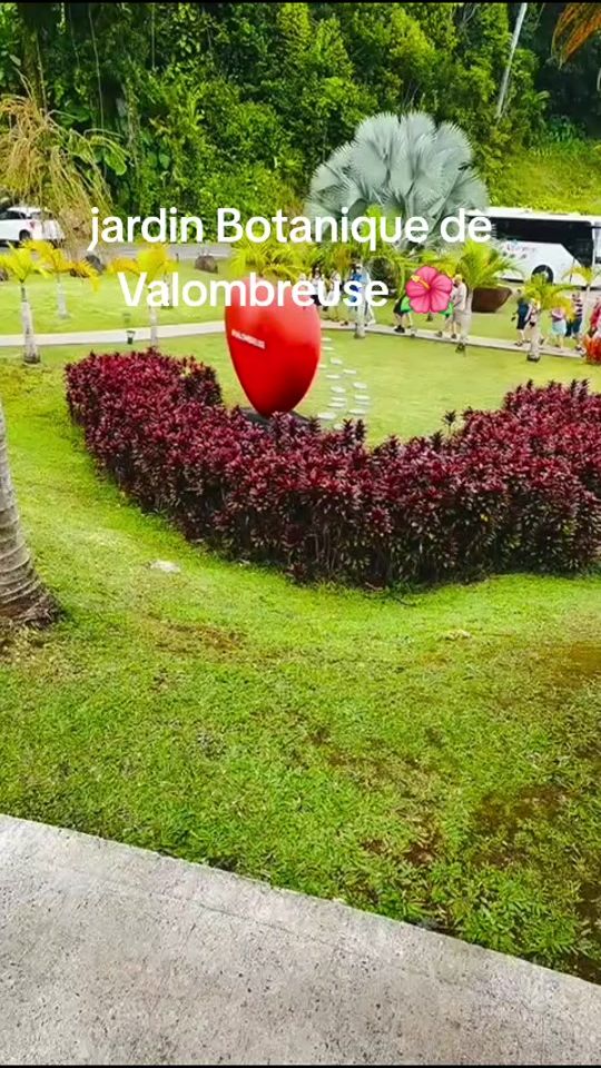 TikTok video thumbnail by quelesne.christin