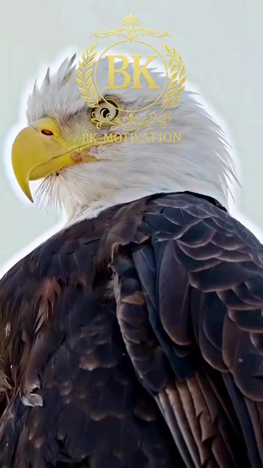 TikTok video thumbnail by bk.motivation4