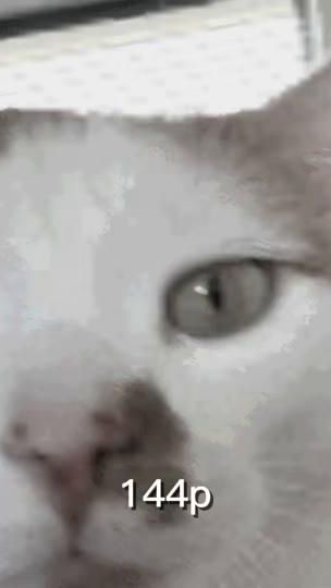 TikTok video thumbnail by mr.amurius