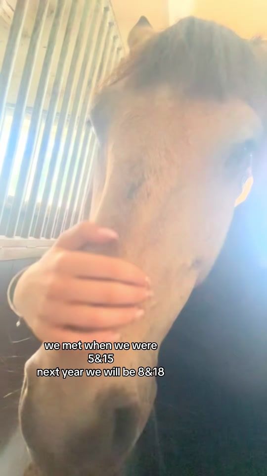 TikTok video thumbnail by merit_eq