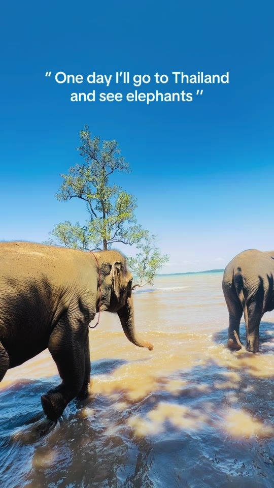 TikTok video thumbnail by marianna__var