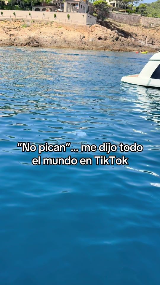 TikTok video thumbnail by jbatet