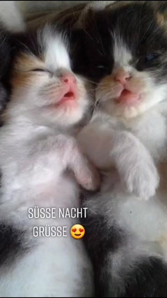 TikTok video thumbnail by tobbyu.murphy