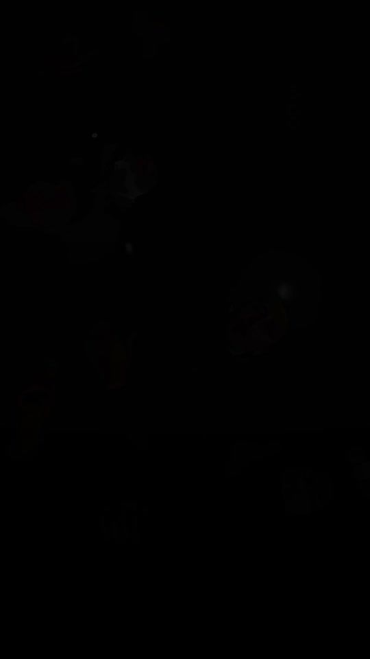 TikTok video thumbnail by de.ayoo