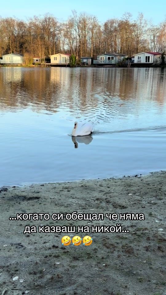 TikTok video thumbnail by baitoq