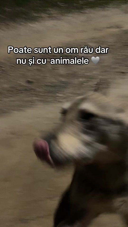 TikTok video thumbnail by deni_.117