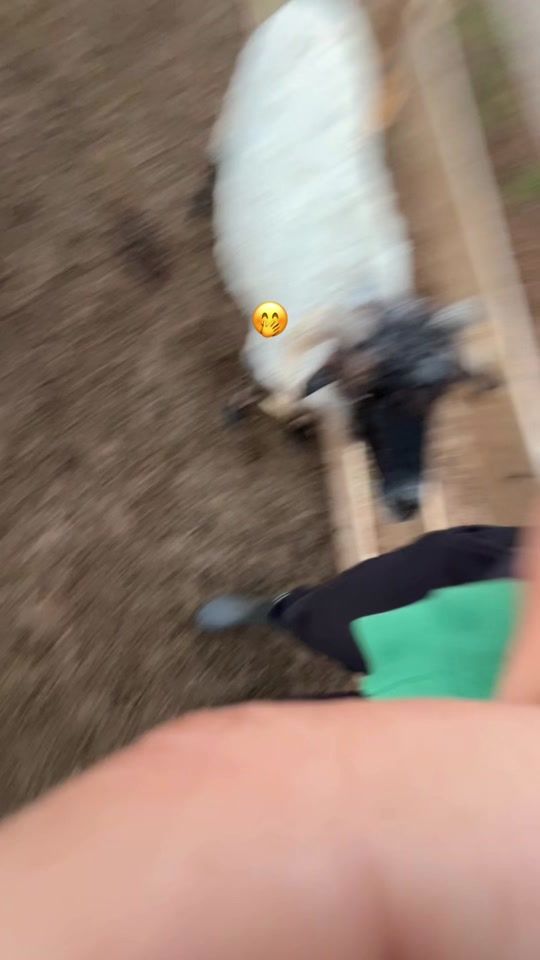 TikTok video thumbnail by loredana.iuliana_