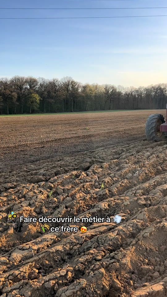 TikTok video thumbnail by tutute_agri