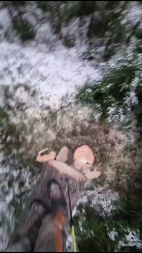 TikTok video thumbnail by agrar.luca