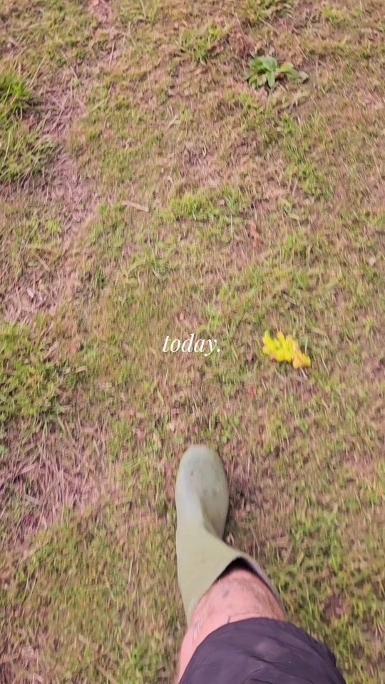 TikTok video thumbnail by the_mikey_finn