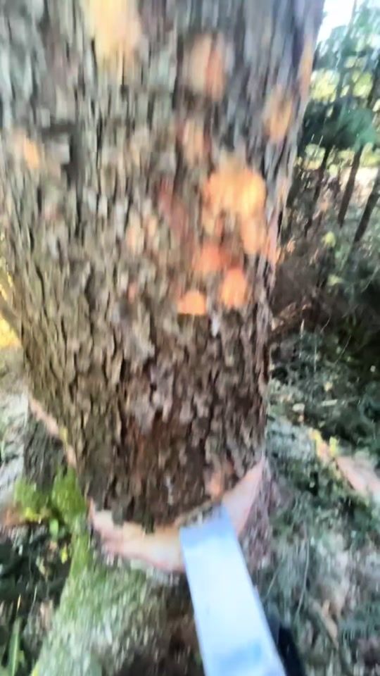 TikTok video thumbnail by rathberga