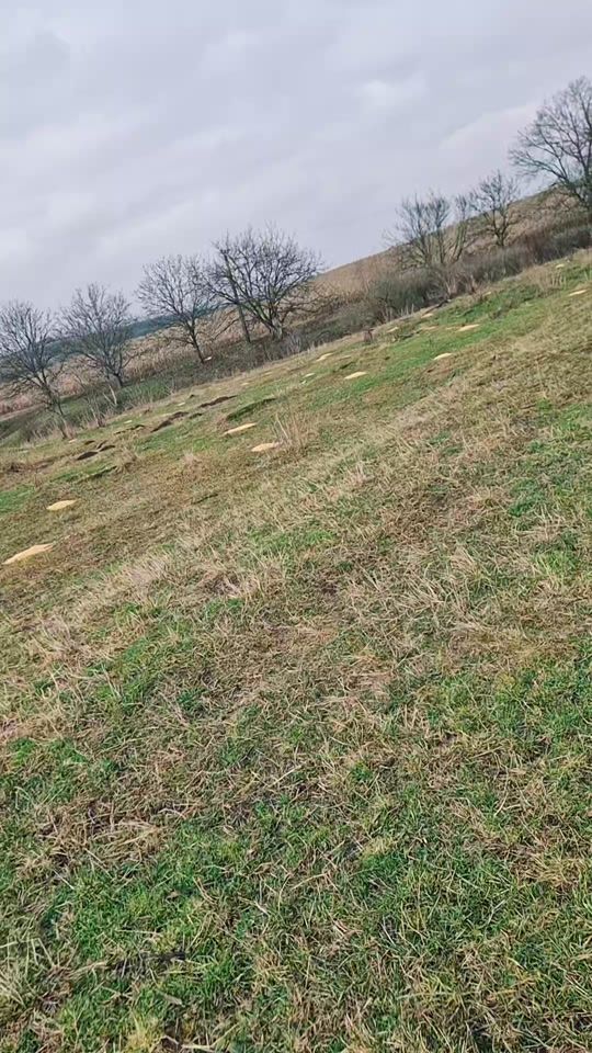 TikTok video thumbnail by valy302002