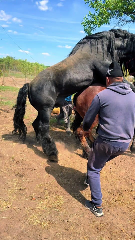 TikTok video thumbnail by _agro.farm_