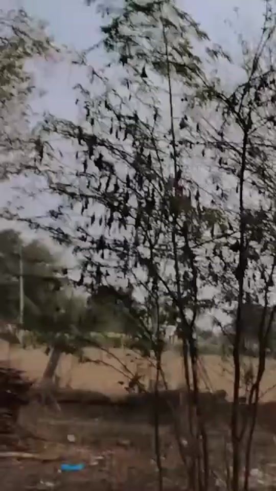TikTok video thumbnail by kiran____3333