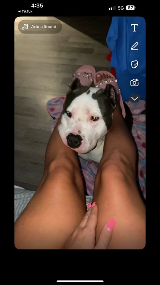 TikTok video thumbnail by chloelarkin_xx