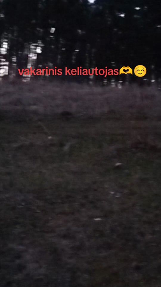 TikTok video thumbnail by jarukoso