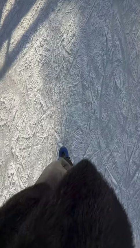TikTok video thumbnail by fp.jagrazynka