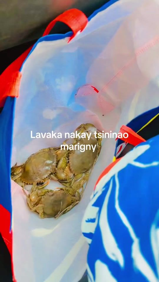 TikTok video thumbnail by haicha35