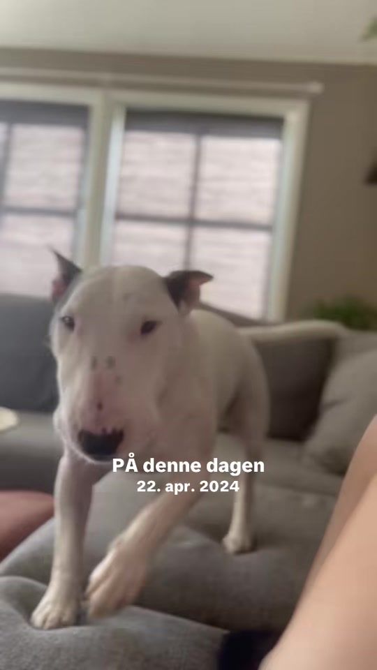 TikTok video thumbnail by colibri2230
